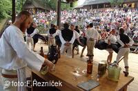 Folklorní festival Slezské dny