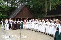 Folklorní festival Slezské dny