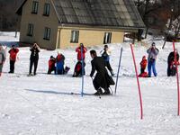 Svatba
