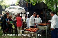 Folklorní festival Slezské dny