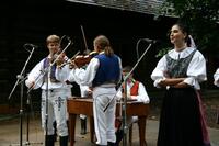 Folklorní sdružení PÚČIK