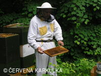 Medobraní u Perníkové chaloupky 2007