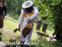 Medobraní a Den dětí 2010