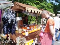 Medobraní a Den dětí 2010