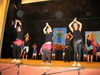 Skřivánek 2011
