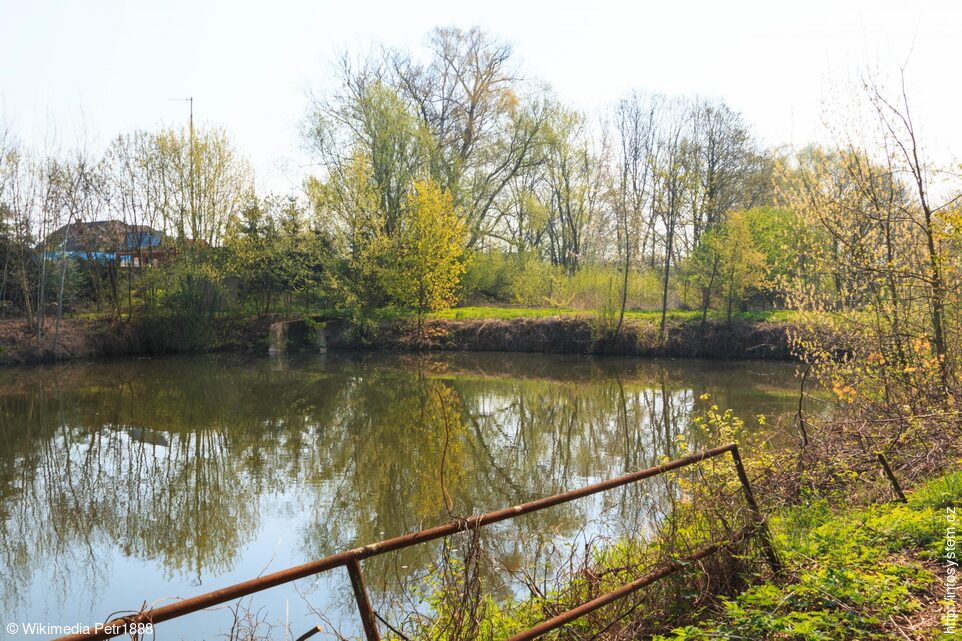 Třebosický rybník