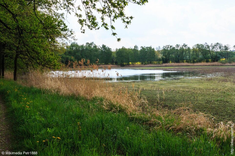 Urbanický rybník