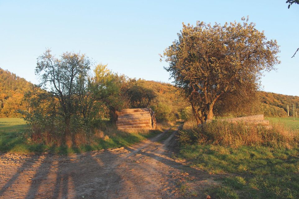 Ovocná alej, stromořadí