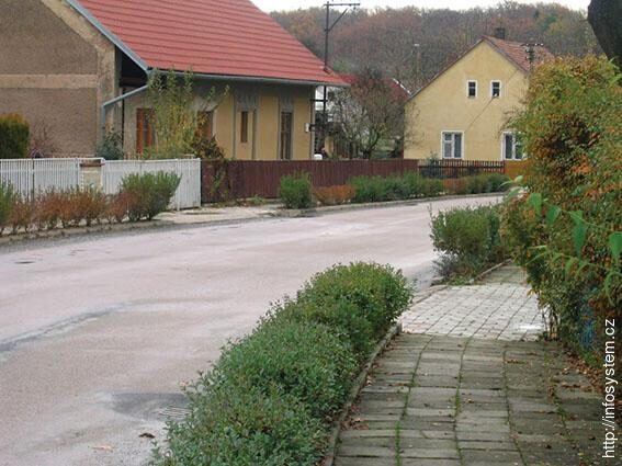 Chrtníky