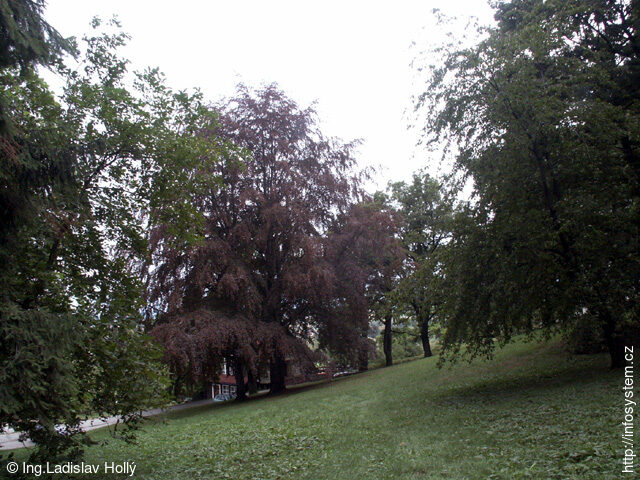 Arboretum Sola gratia, Bystřice pod Hostýnem