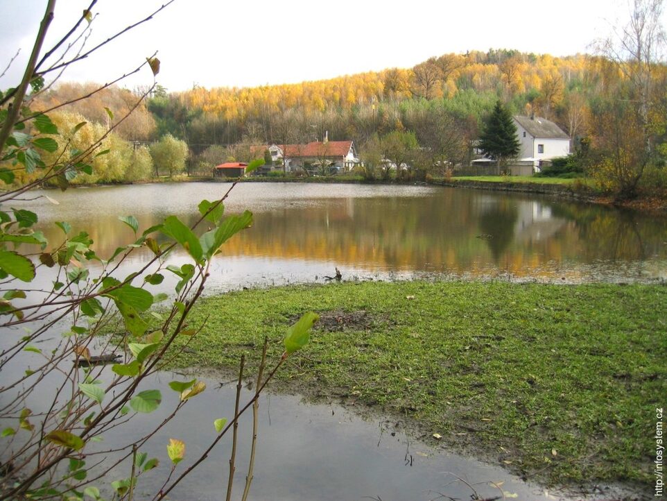 Brloh - rybník