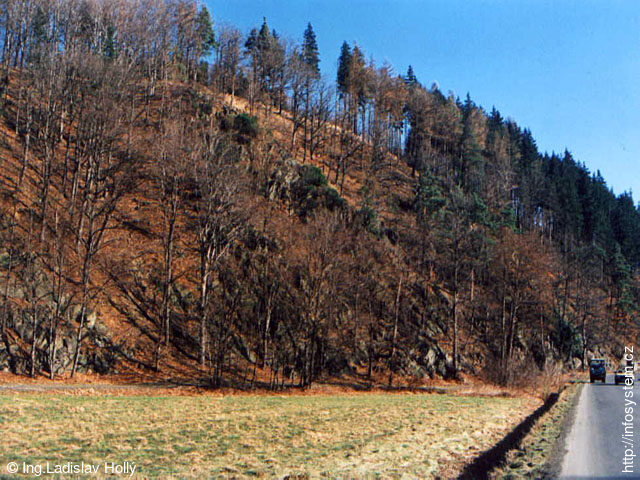 Branecká skála