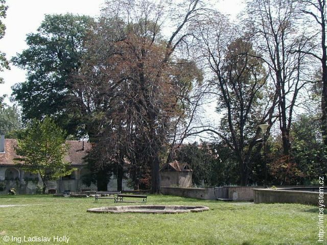 Tovačov, Zámek - zámecký park