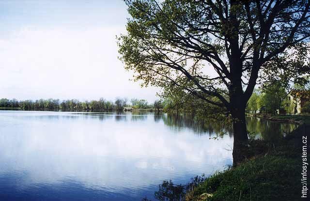 Rybníky